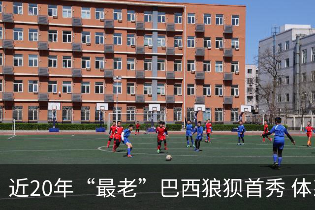 近20年“最老”巴西狼狈首秀 体系遭拆解平局已是侥幸